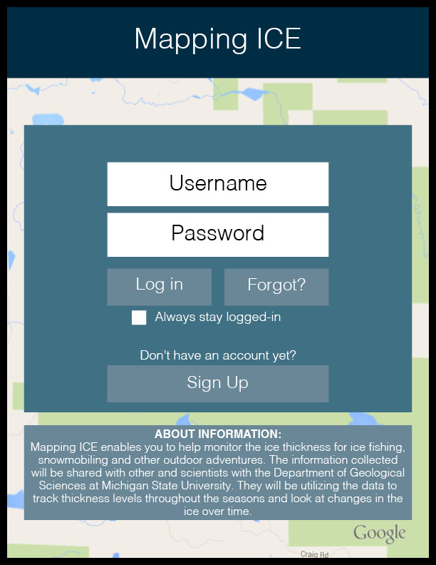 Log In View